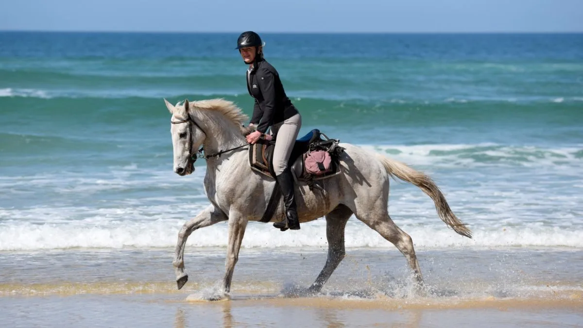 balade cheval plage