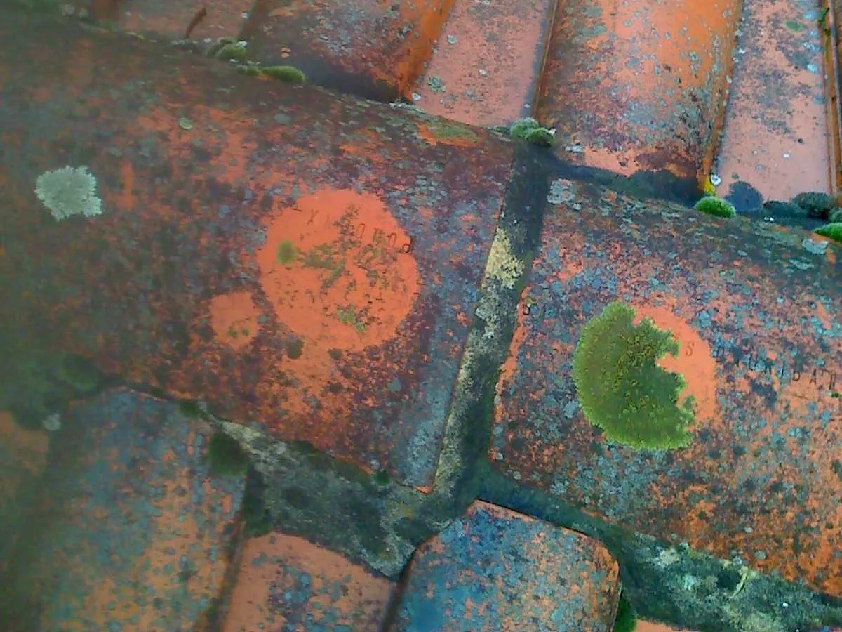 Hossegor Vacances Tranquilles 2016