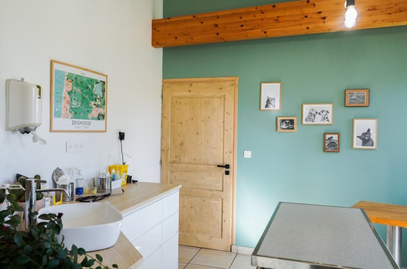 ©Clinique Veterinaire Seignosse 2023 Charles Juillet  (2)