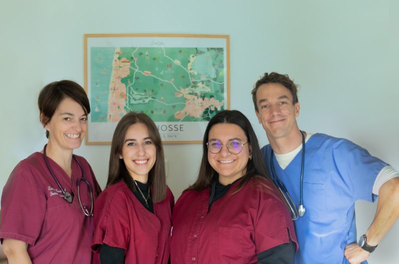 ©Clinique Veterinaire Seignosse 2023 Charles Juillet  (3)