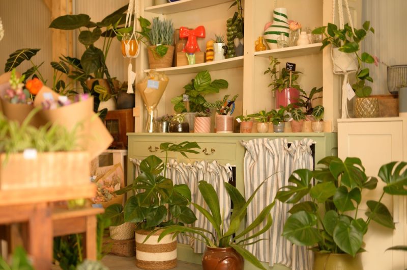 ©Cueillette Fleuriste 2025 (2)