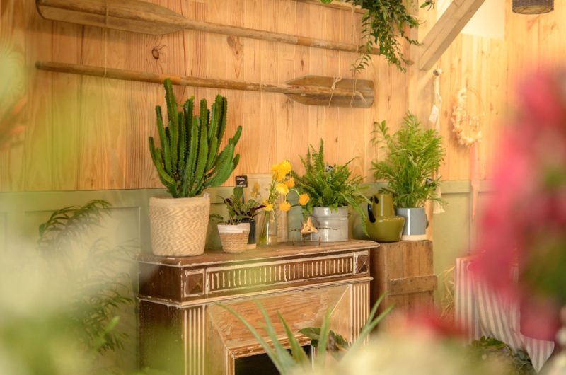 ©Cueillette Fleuriste 2025 (3)