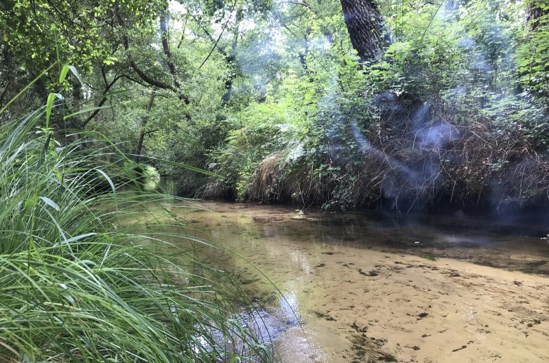 @Inda_riviere la palue_CLNT (3)