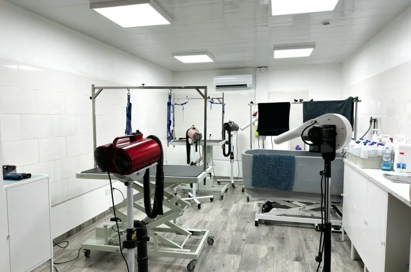 ©Instant Canin 2023 (1)