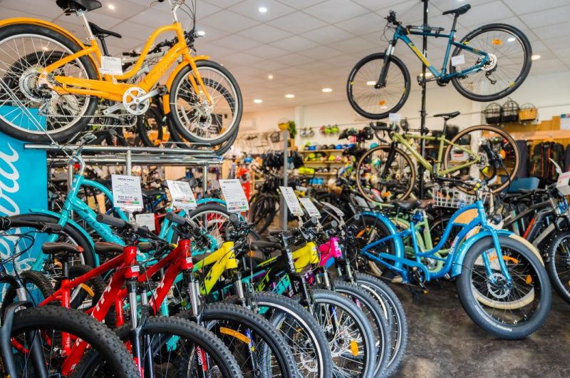 ©LandesAtlantiqueSud-03303