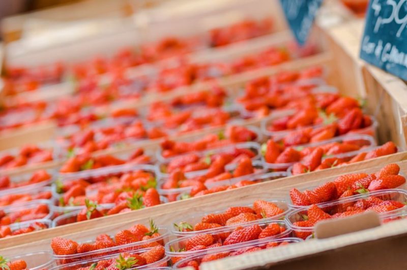 ©LandesAtlantiqueSud-7