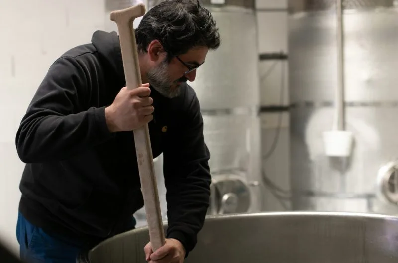 -Rosny-Beer-seignosse landes atlantique sud (3)