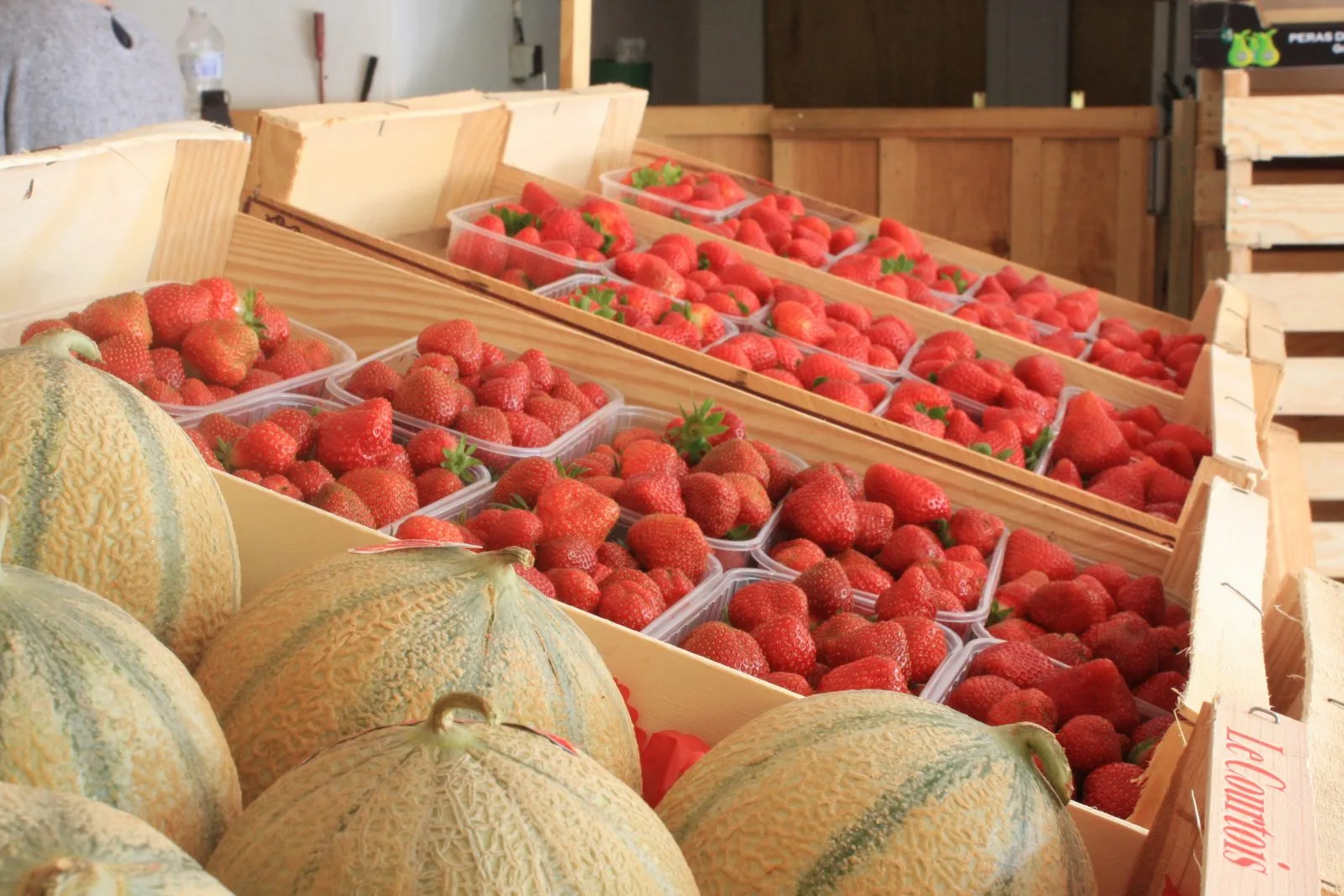 1 – Mathio  Landes Atlantique Sud