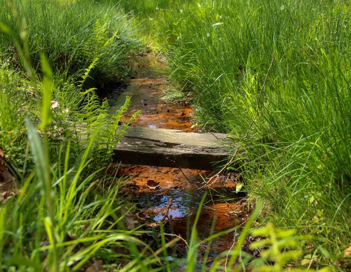 1-Lit-et-Mixe – photos retouchées source de Yons ©Landes Attractivité-2TS