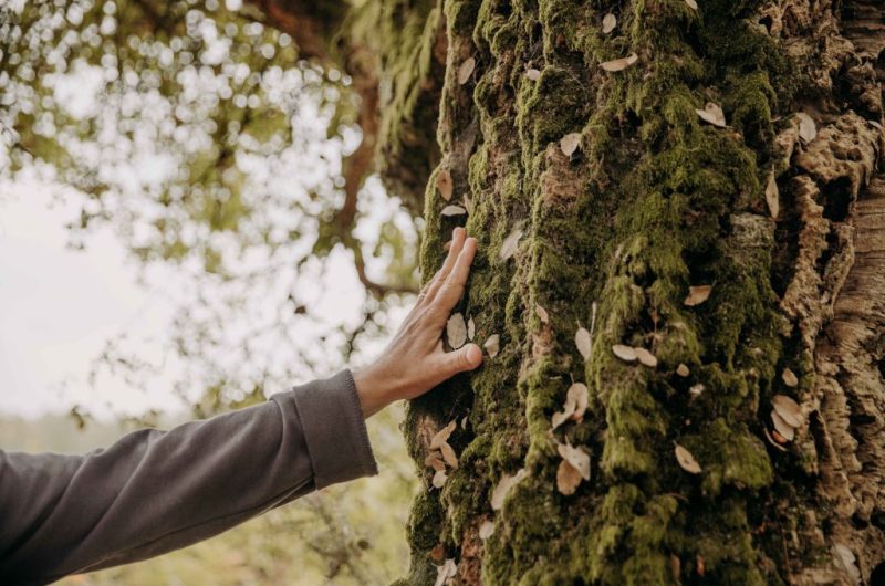 1@karenpetitphotographe