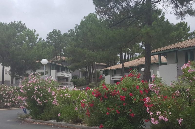 102-appartement-sylvia-moliets-bnb1-HLOAQU040V50NM9V-size2048-op