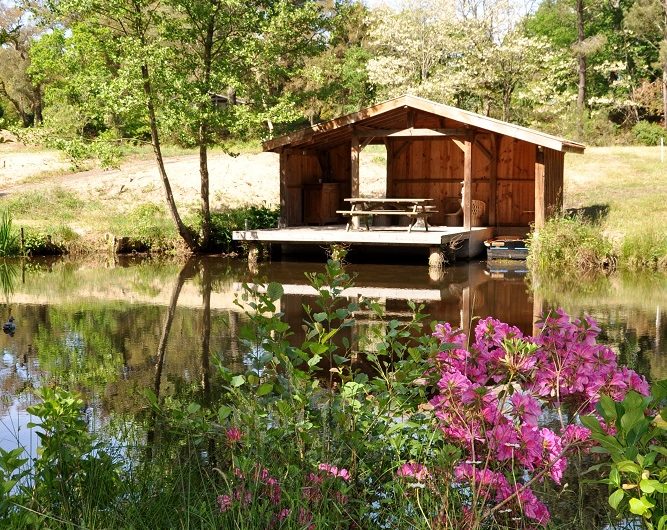 11-PINEDE-LABOILLE-M4-landesatlantiquesud