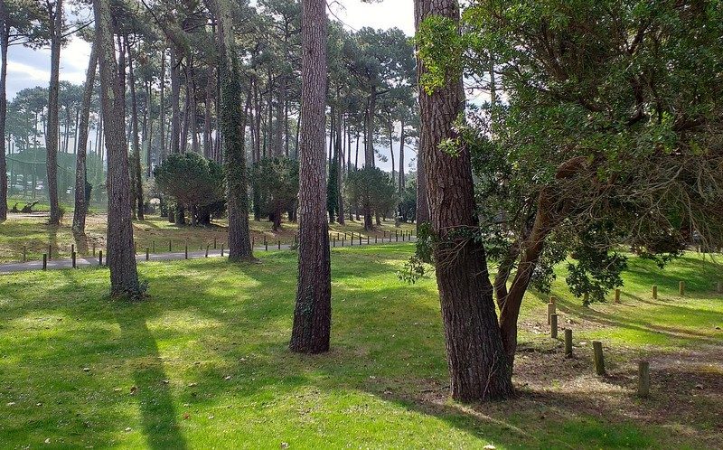 110 Appartement Aux Bons Souvenirs_Moliets_Landes Atlantique Sud