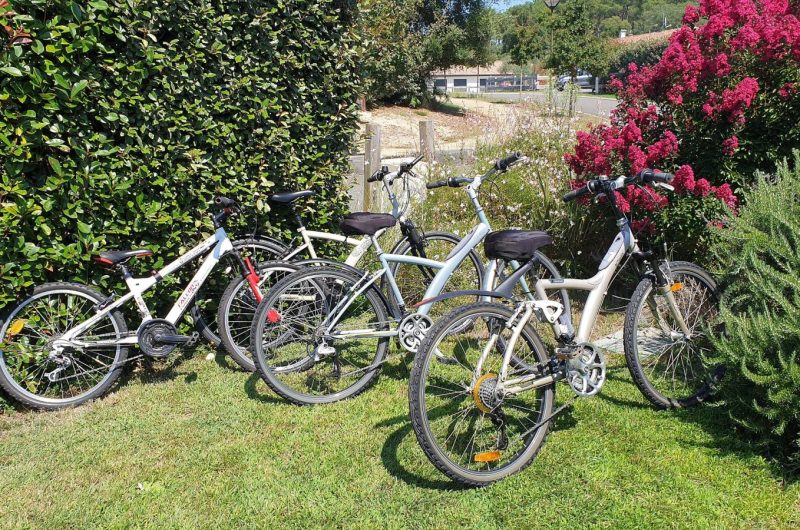 110-villa-fouert-moliets-bnb1-HLOAQU040V50DAYM-size2048