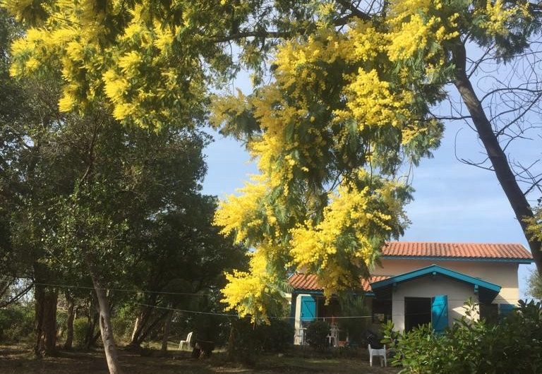 115 Presles_Moliets_Landes Atlantique Sud