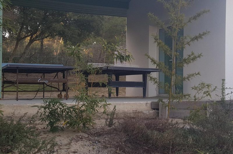 116-appartement-sylvia-moliets-bnb1-HLOAQU040V50NM9V-size2048