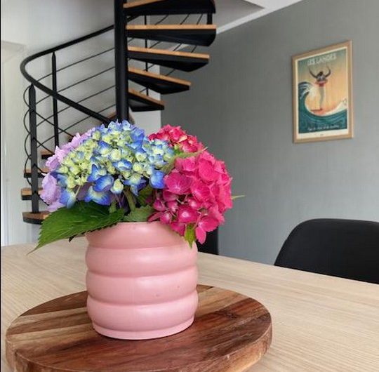 118 Villa Marcassin – Domaine de Branouns_Messanges_Landes Atlantique Sud