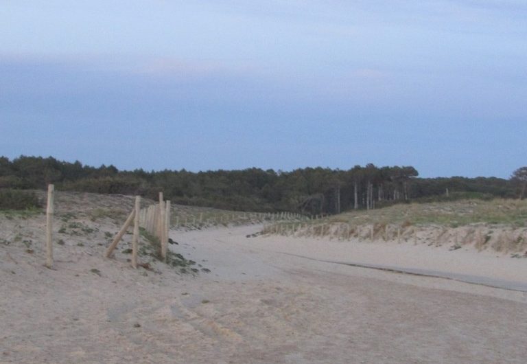 119 Villa delice de dunes_Moliets_Landes Atlantique Sud