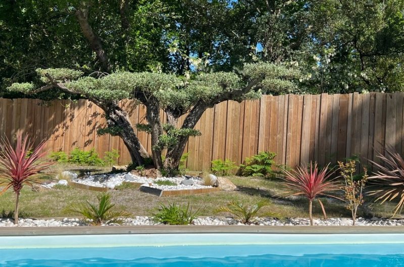 119 Villa du Bois de la Fontaine_Moliets_Landes Atlantique Sud