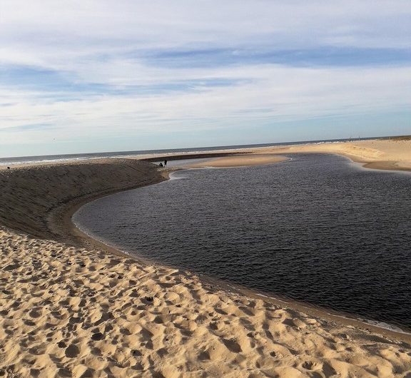 122 Appartement Isa&Henri_Moliets_Landes Atlantique Sud