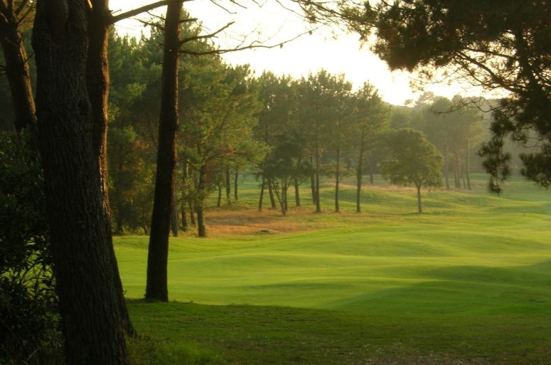 123 Maison Agapanthe_Moliets_Landes Atlantique Sud