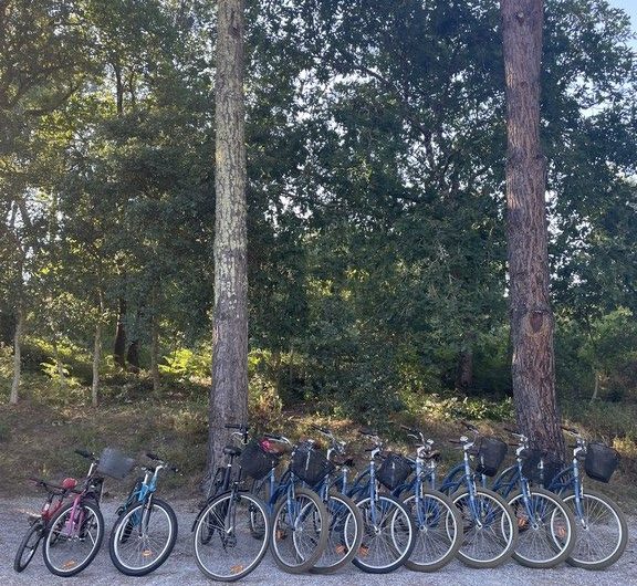 131 Benchoua_Moliets_Landes Atlantique Sud