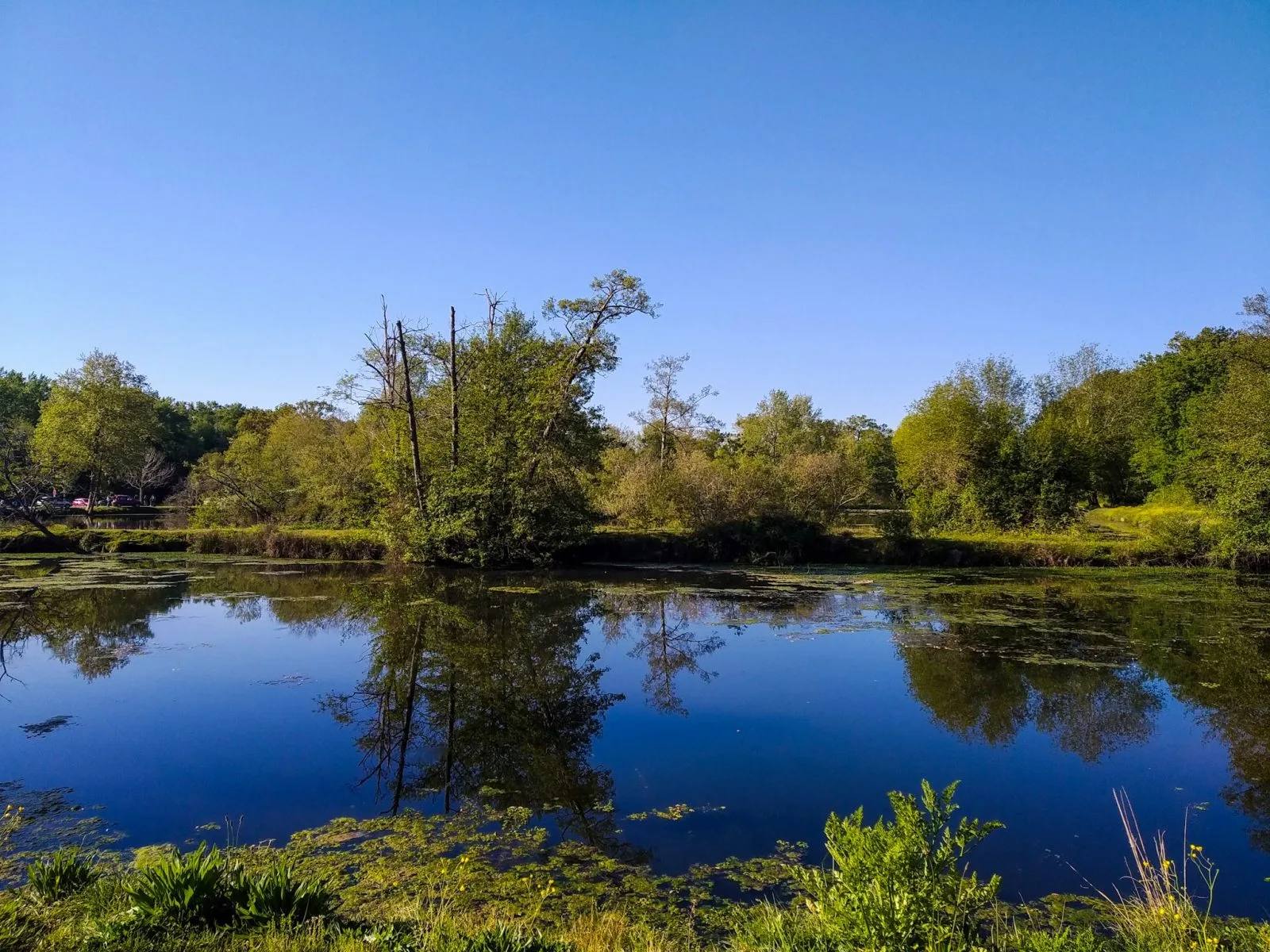 Etangs de la Gravière