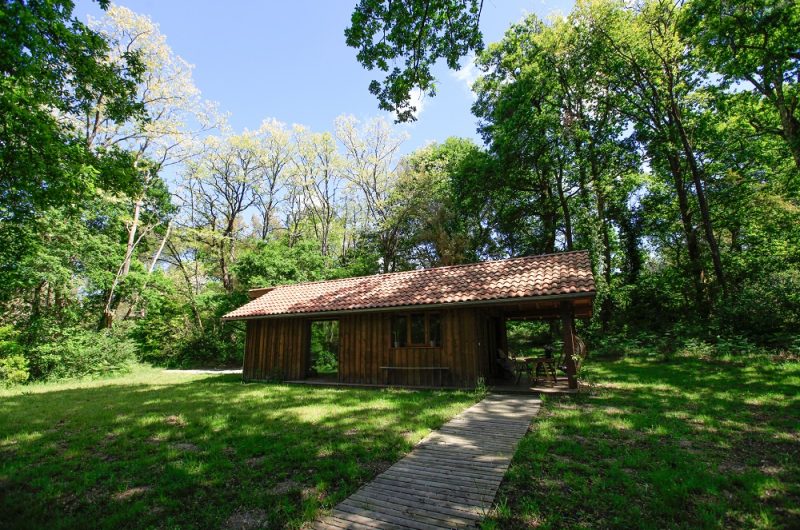 18-RUCHER-LABOILLE-M2-landesatlantiquesud-2