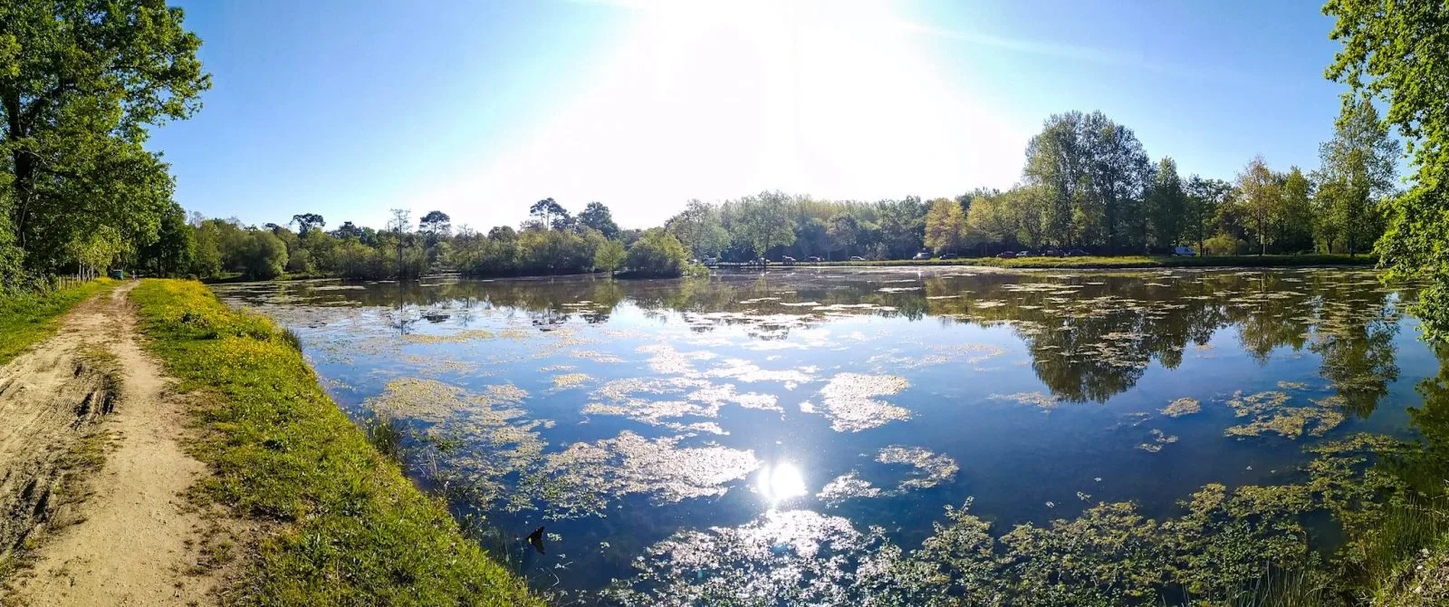 Etangs de la Gravière