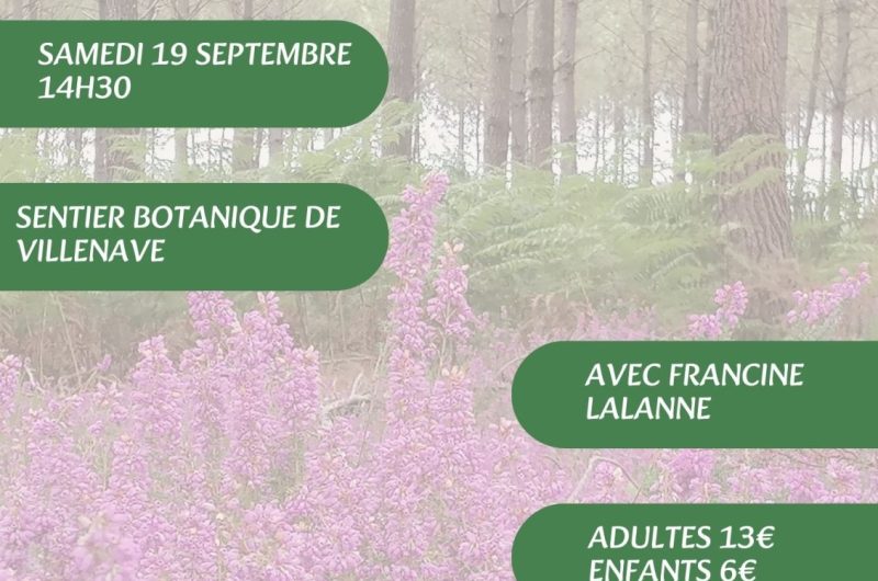 Visites, balades de l’OT – 11