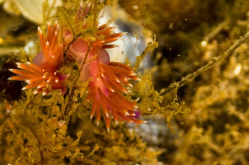 Design sans titre – 2