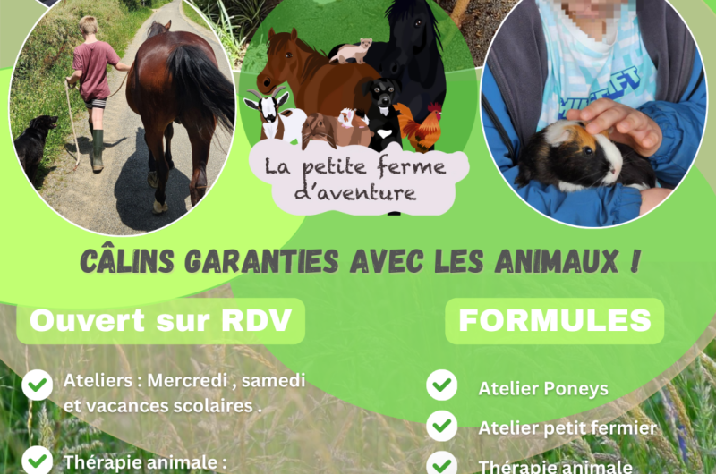 Affiche Évènement Fête Ferme Pédagogique Simple Collage Photo Coloré – 2