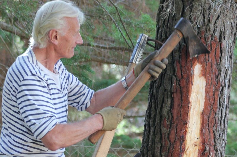 2-Resinier._Conservatoire_Landes_Gascogne