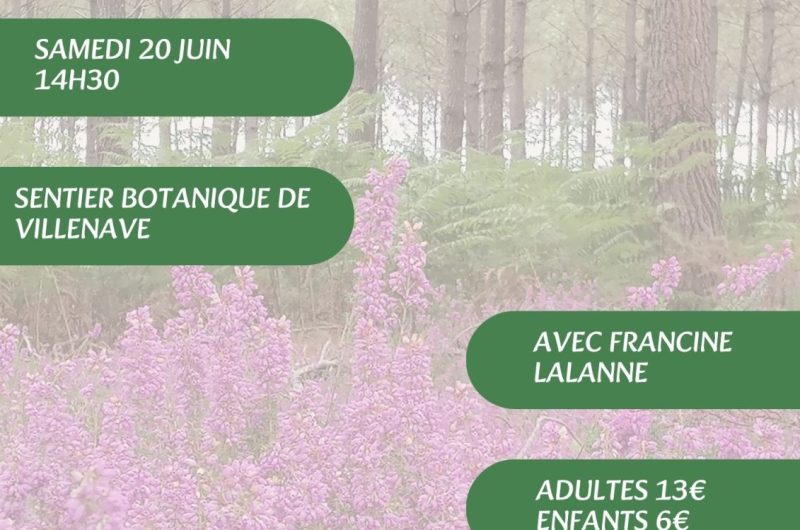 Visites, balades de l’OT – 6