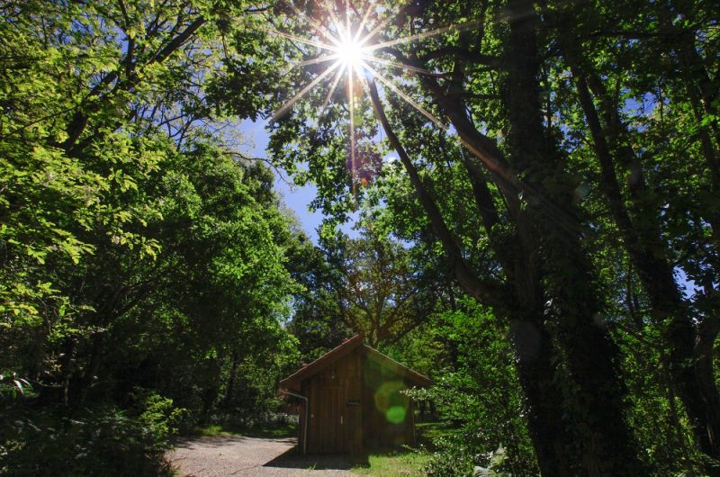 20-RUCHER-LABOILLE-M2-landesatlantiquesud-2