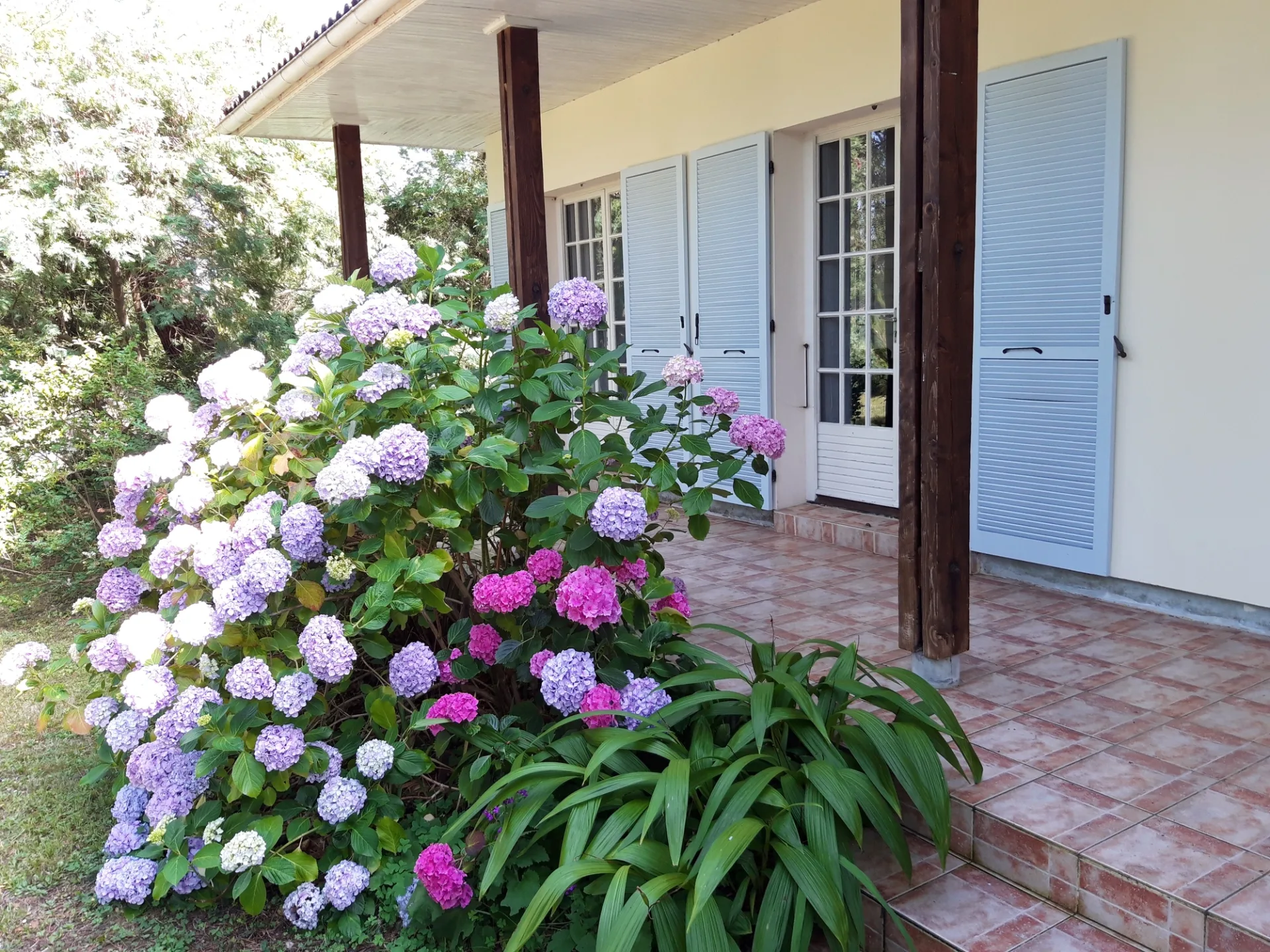 20190628-174945–002–2