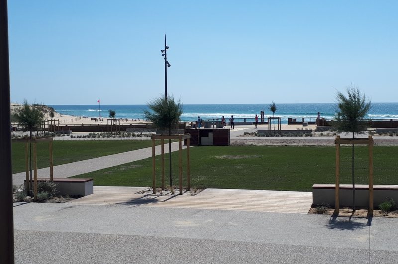 2020—Tarbouriech–3—Copier-