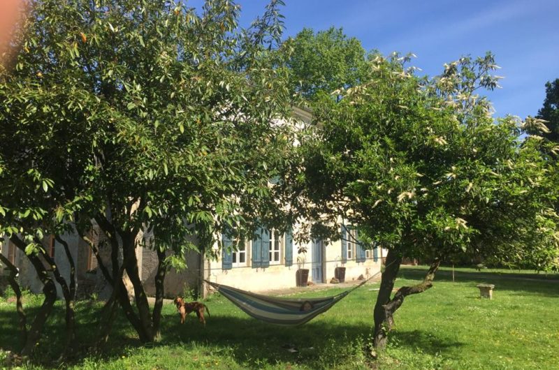 2021_SAM_Château Duviella004©Faye Ewbank