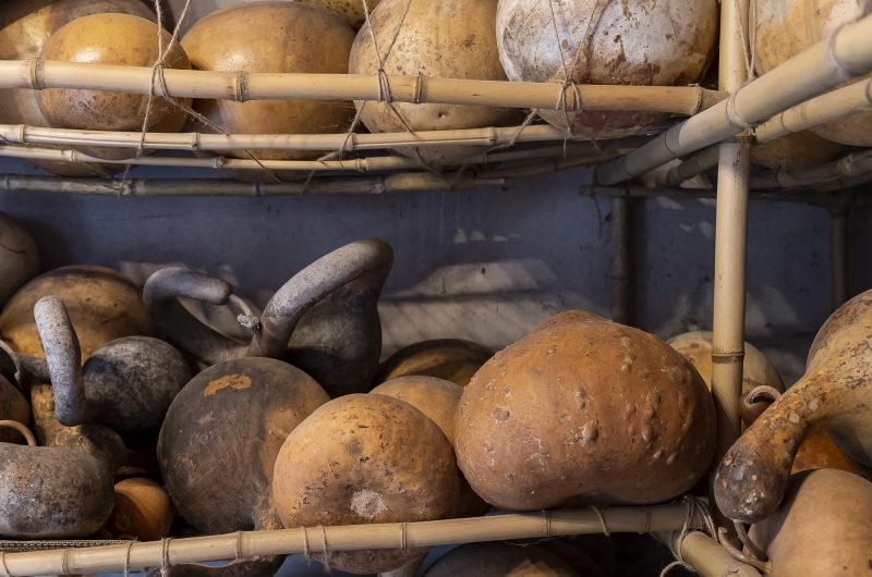 2022 – LABA – Astéria – ©Midi Prod