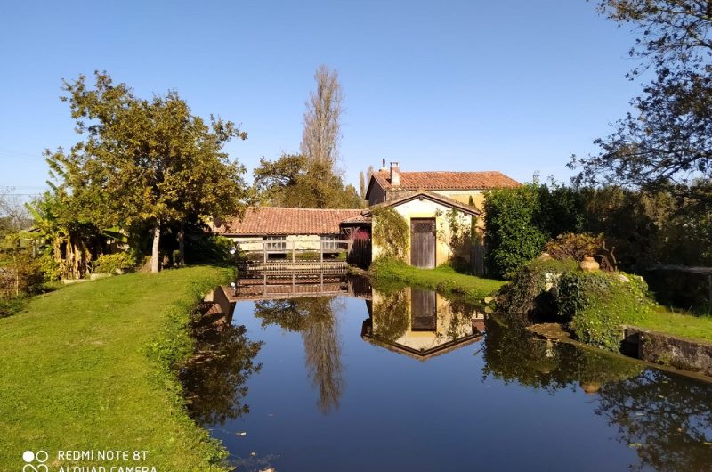 2022_EYR_Moulin 018©M. Guerrero