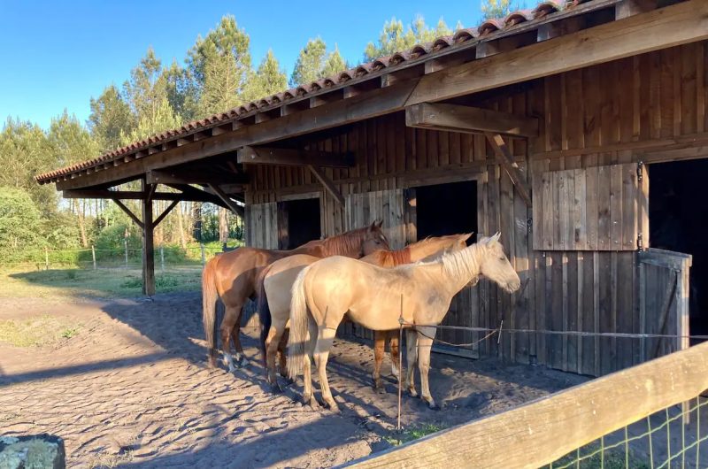 2023 – ESTI – Henry’s Lodge – Écurie – ©H. Gadeyne