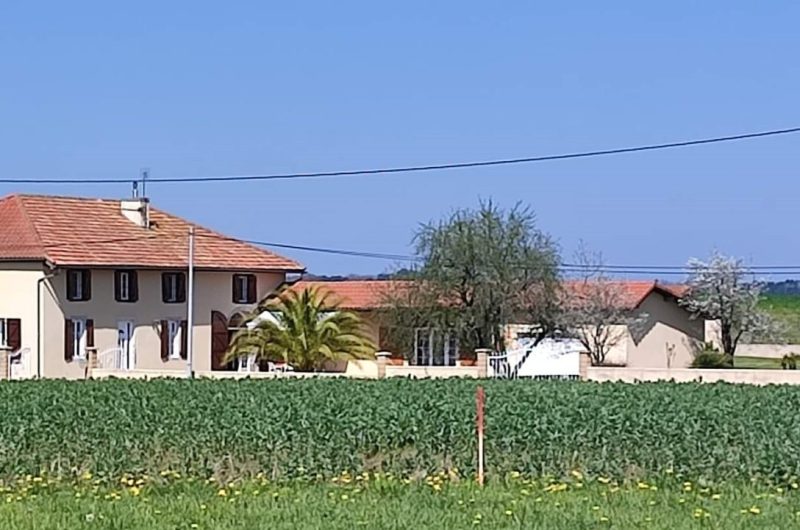 2023_GAU_Domaine de Laurolie005©M. Caudrelier