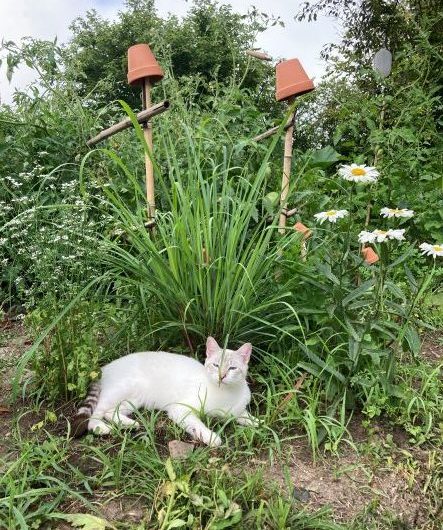 2023_HAG_La Chaise Haute008©Mme Caron