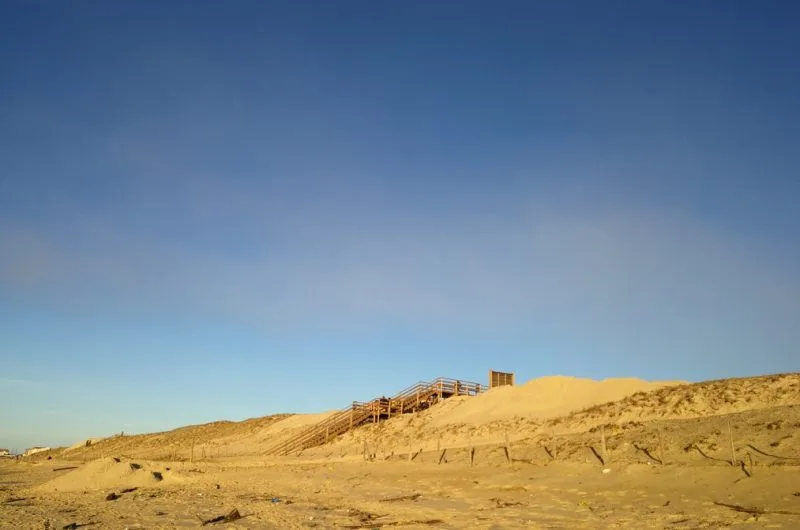 2023_coutarel_A02 (8) (Copier)