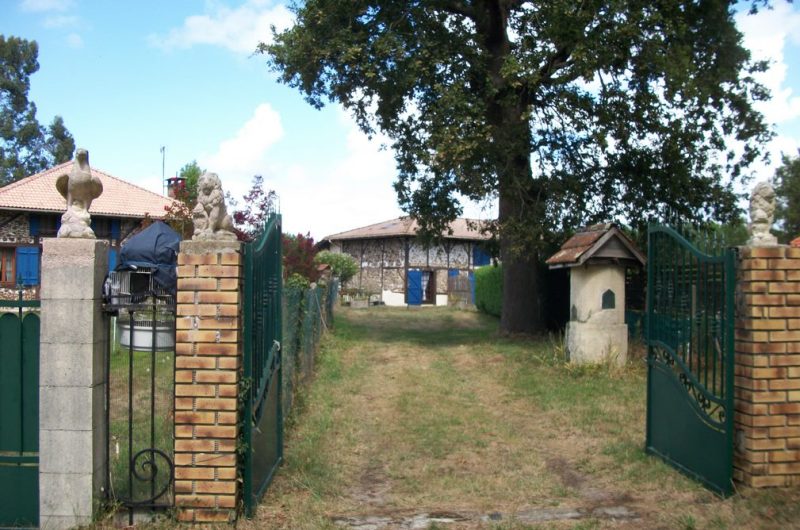 2023_cugnet_ecureuil (9) (Copier)