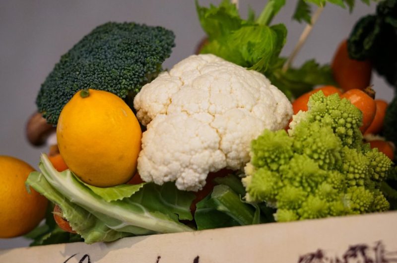 2024 – HONT – L’Étable de Marquestau – Cagette légumes – ©Faustine FERRER