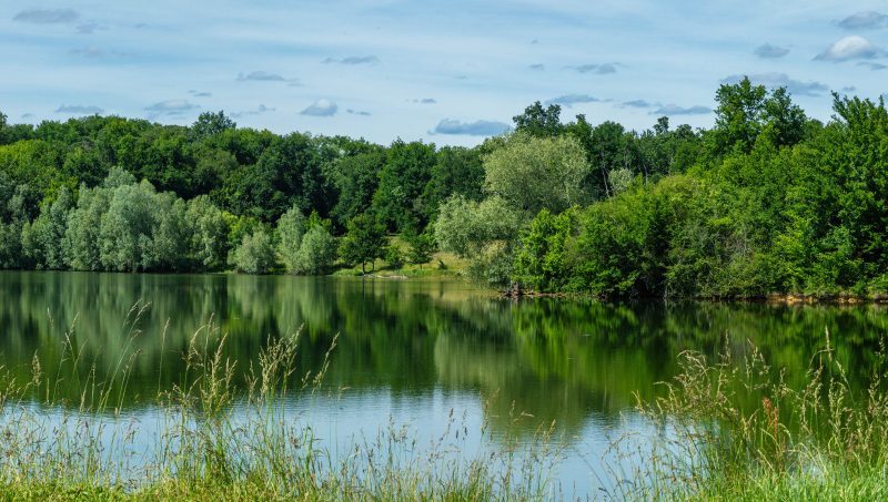 2024 – LAGR – Etang de Lagrange – ©Arnaud Späni (1)