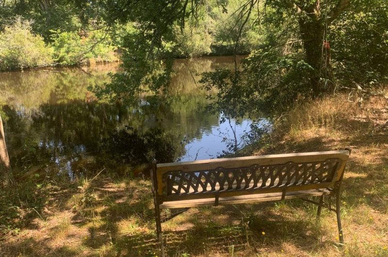 2024 – LOSS – La Cabane – Etang – ©Dominique RIVERO