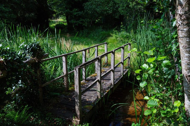 2024 – STFOY – Etang de Sainte-Foy – ©Arnaud Späni (1)