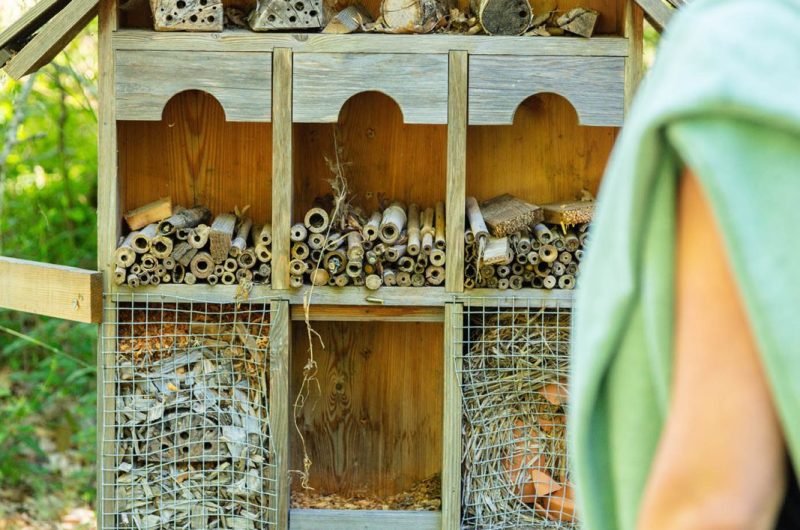 2024 – VIEL – Arboretum de Vielle-Soubiran – ©Arnaud Späni (5)